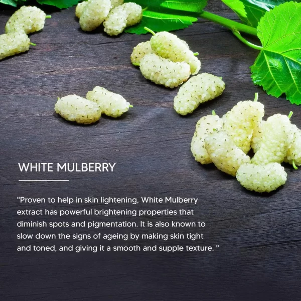 Lotus Phytorx Anti Ageing Firming Day Cream 50 Gm - Image 3