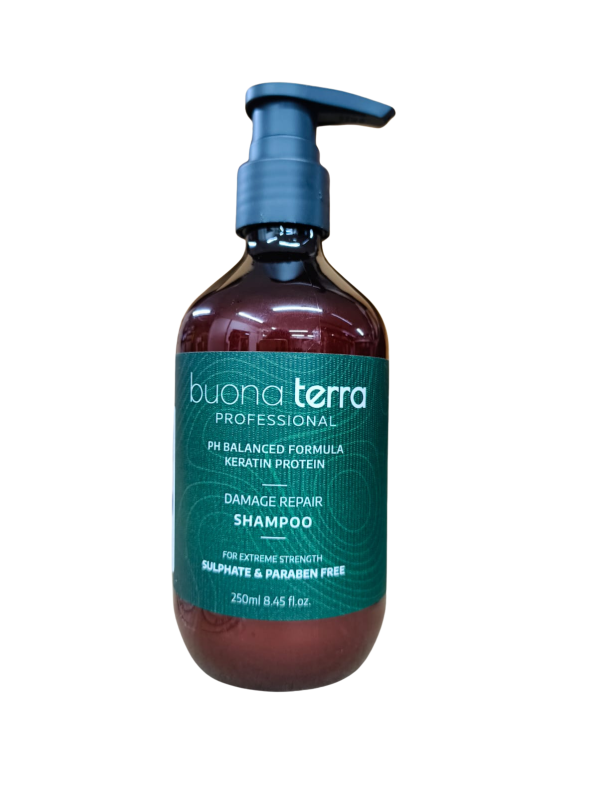 Buona Terra Professional Damage Repair Shampoo 250ML