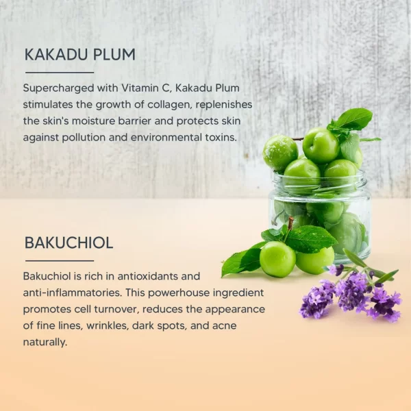 Lotus Retemin Plant  Retinol Vitamin-C Brightening Face Wash 100gm - Image 2