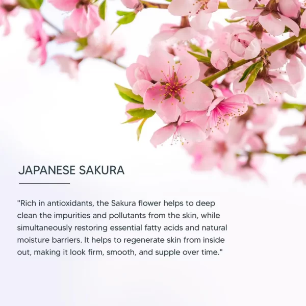 Lotus Japanese Sakura Night Cream 845 - Image 3